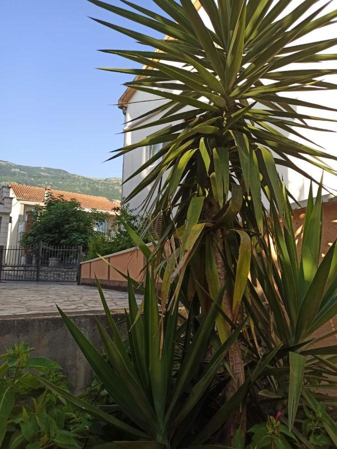 Apartments Parapid Budva Ngoại thất bức ảnh